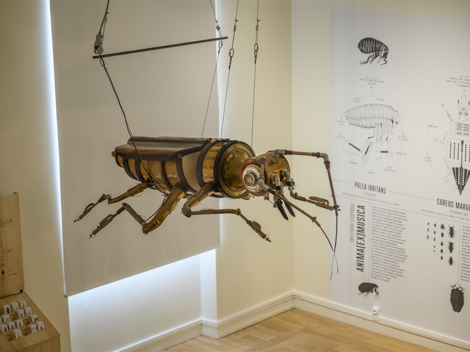 expo ANIMA(EX)MUSICA ©Anne-Bettina Brunet (61)