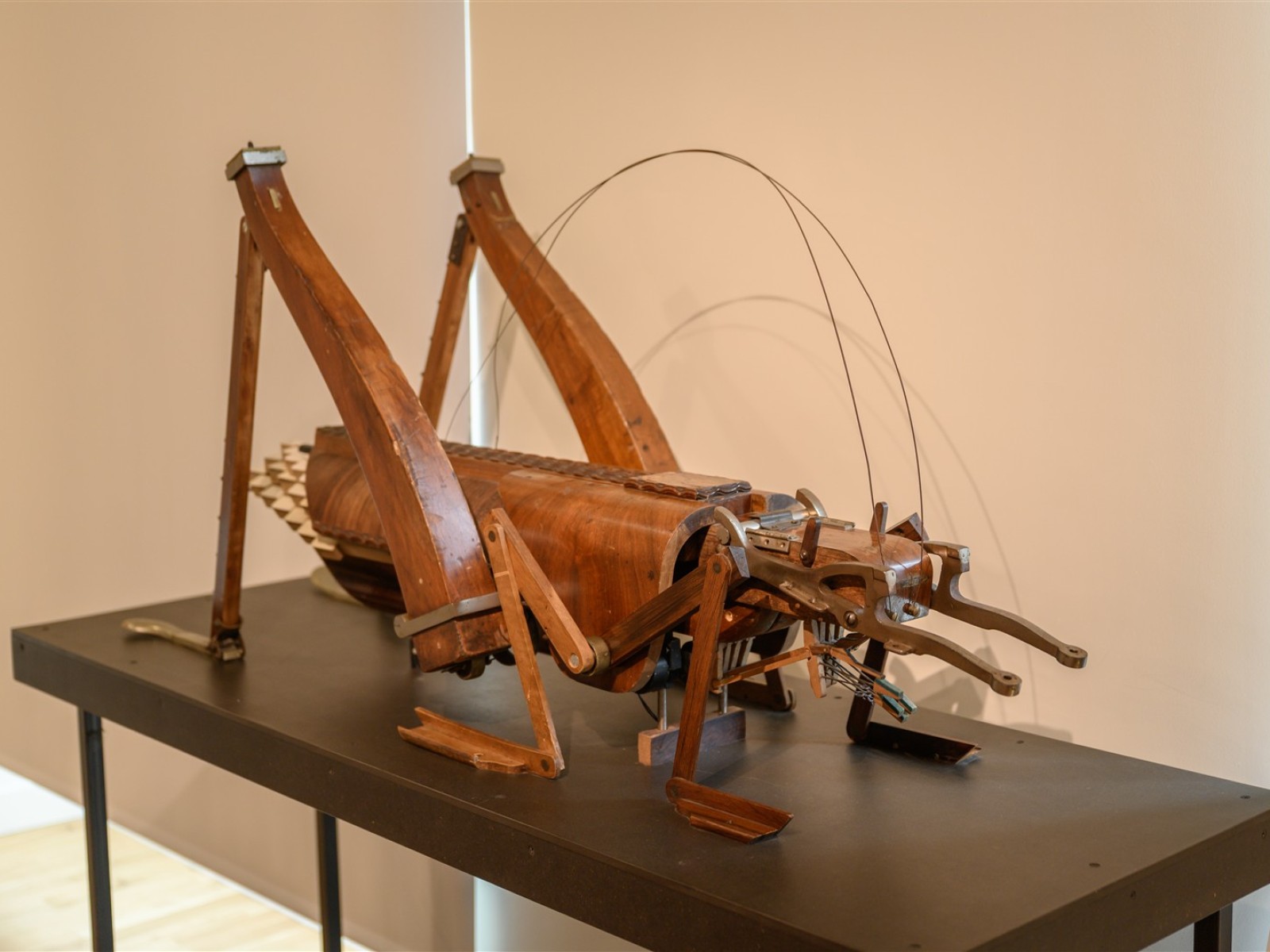 expo ANIMA(EX)MUSICA ©Anne-Bettina Brunet (65)